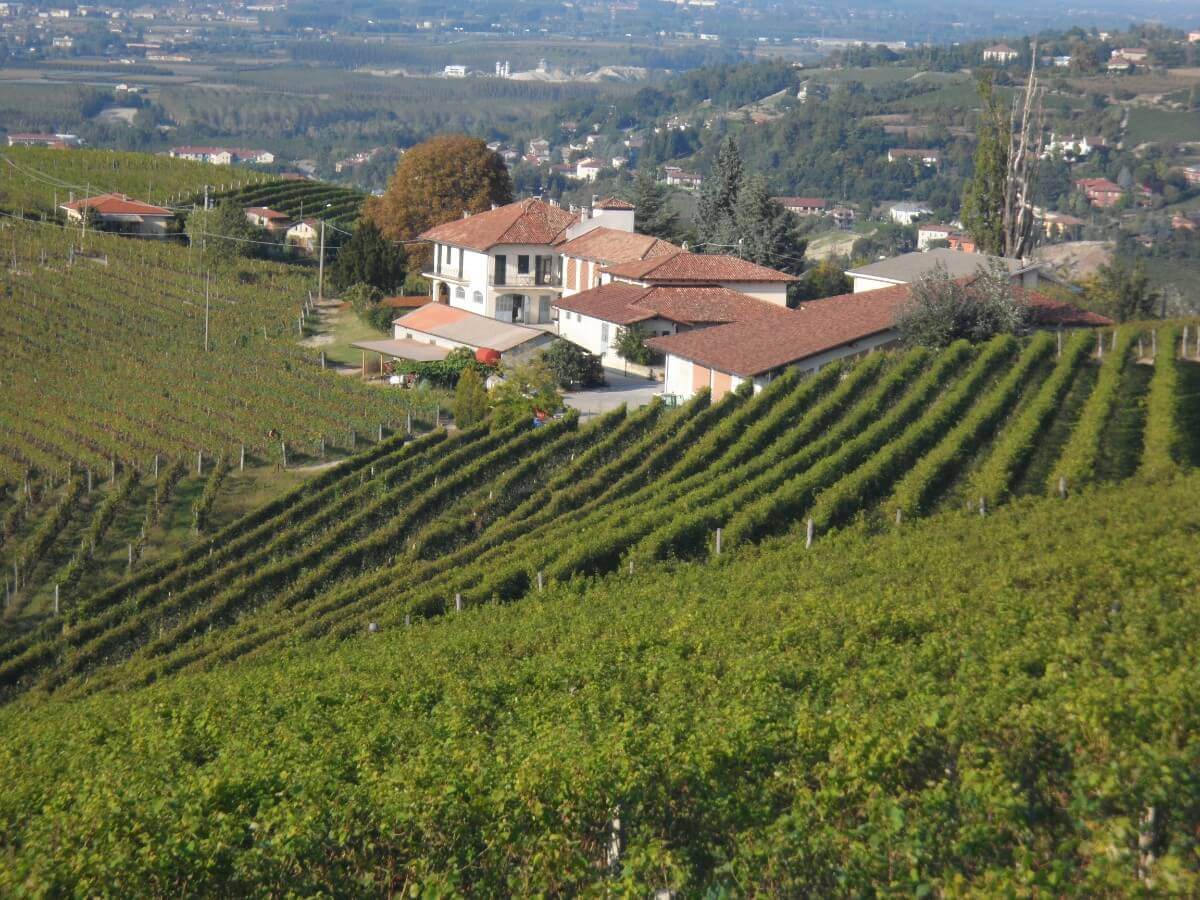 1.Wineestate 🍇 Wineries & Vineyards for Sale