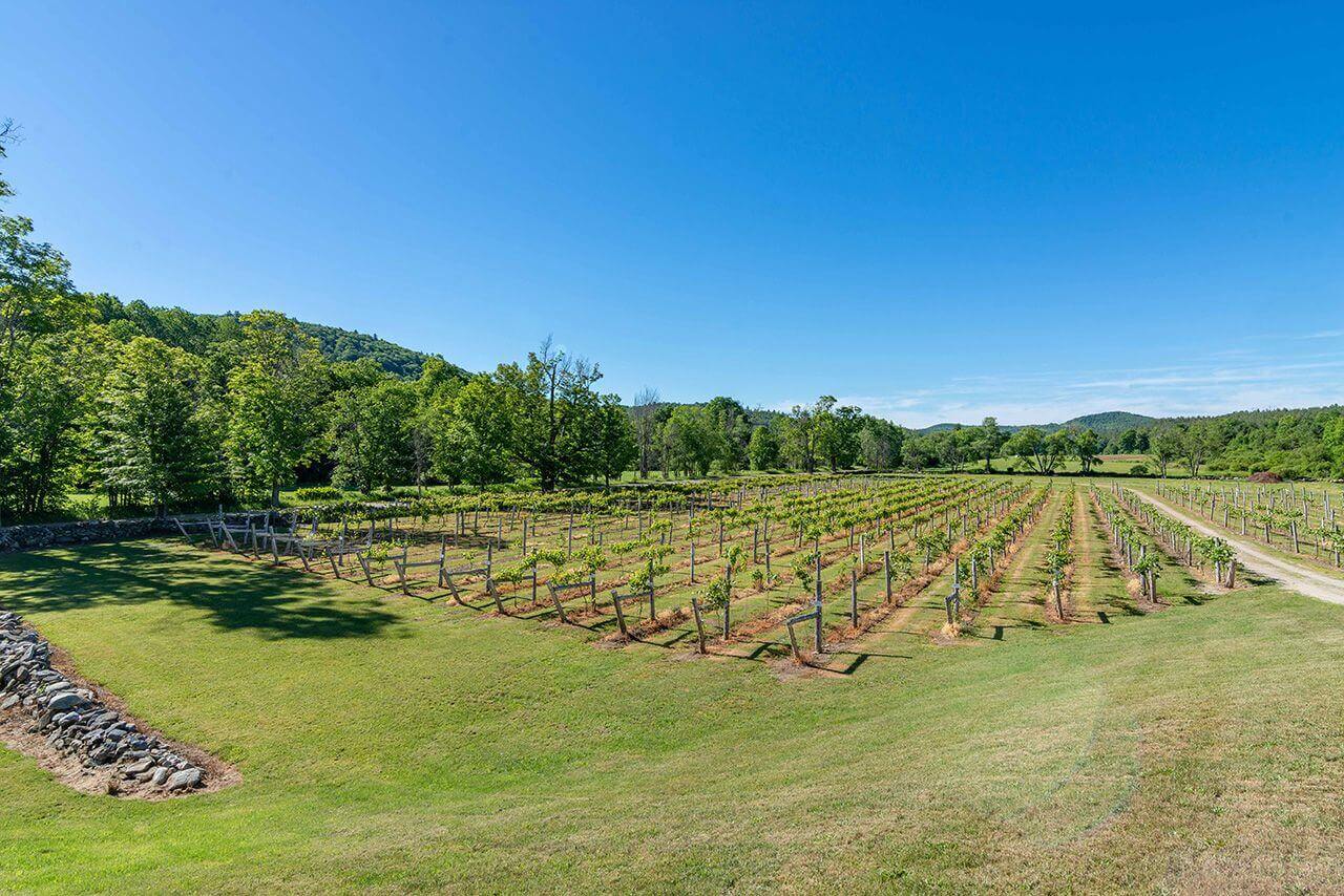 brookfarm (9) 🍇 Wineries & Vineyards for Sale
