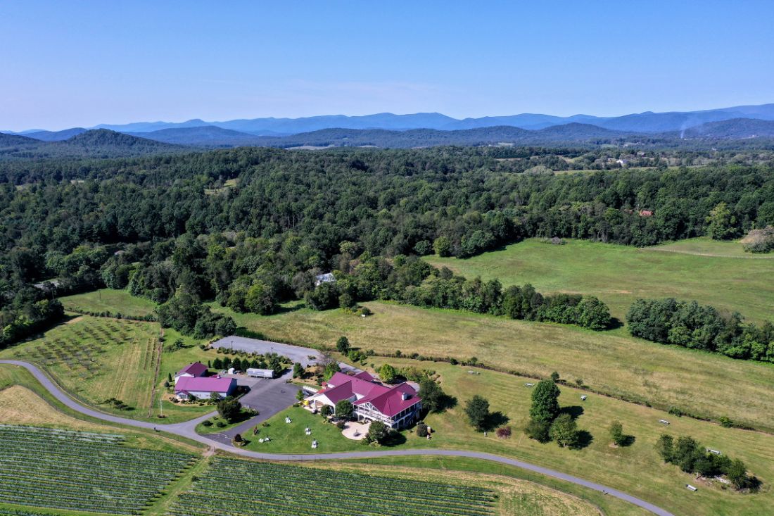 Virginia Winery and Vineyard 🍇 Wineries & Vineyards for Sale