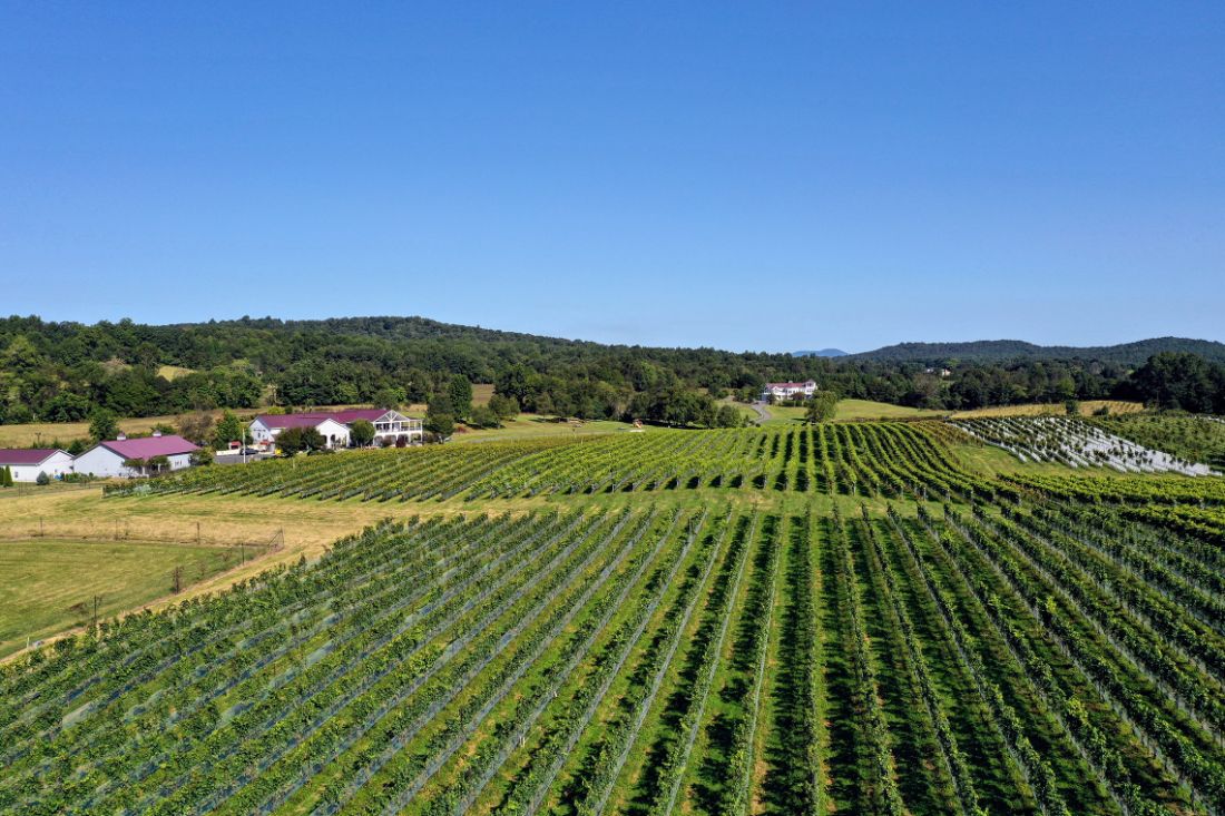 Virginia Winery and Vineyard 🍇 Wineries & Vineyards for Sale