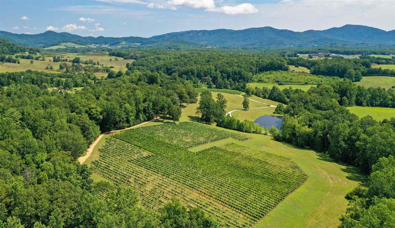885 FRESHWATER COVE LN, LOVINGSTON, VA 🍇 Wineries & Vineyards for Sale