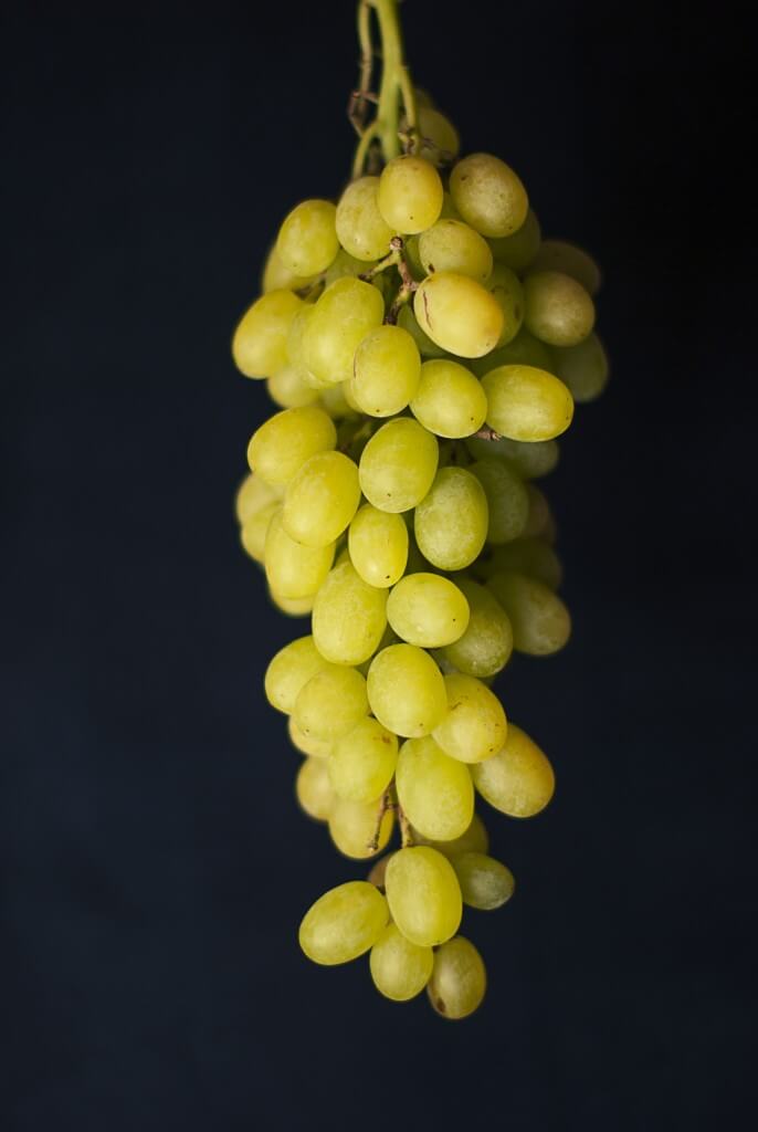 Steuergutschrift für Weinberge