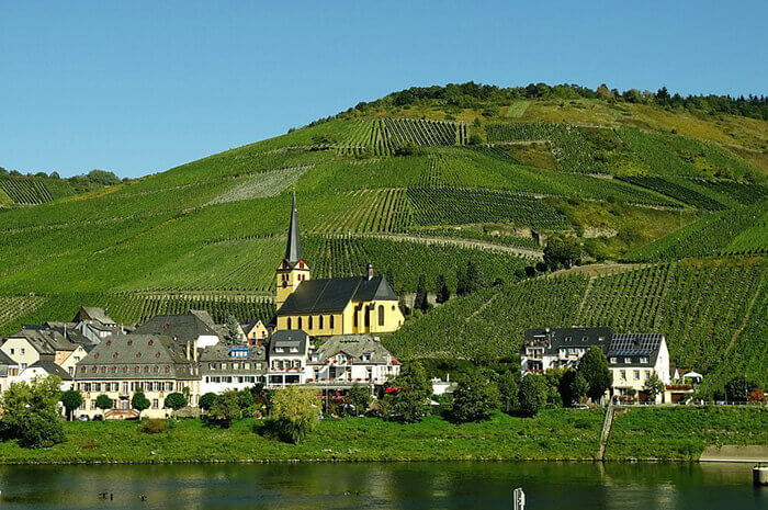 Vineyards for Sale in Germany