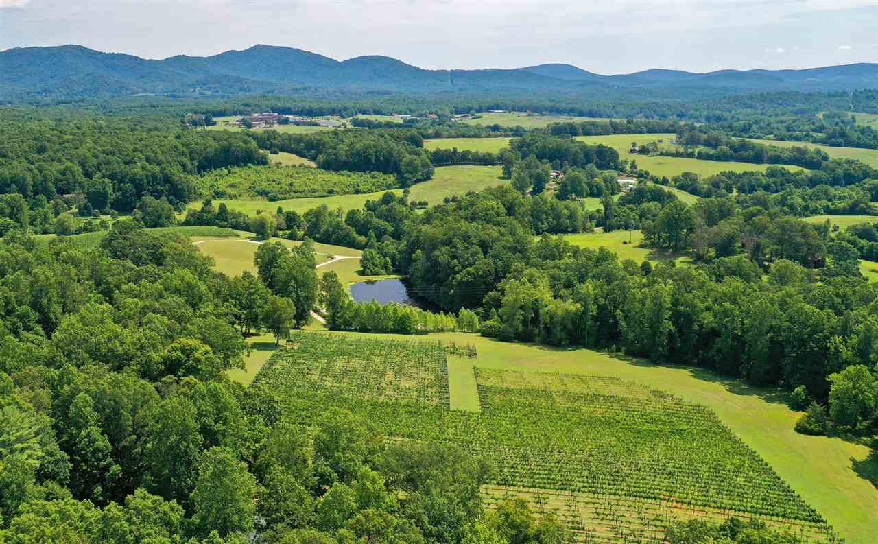 885 FRESHWATER COVE LN, LOVINGSTON, VA - 🍇 Wineries & Vineyards for Sale