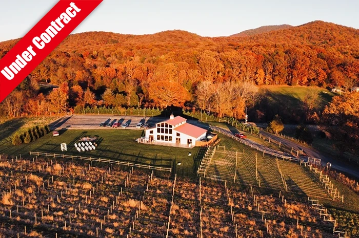 Mariage idyllique / événement / lieu viticole au cœur de la vallée de Shenandoah