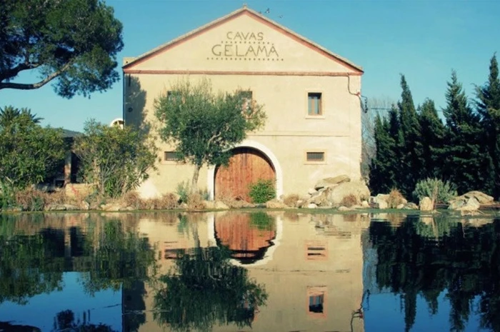 Beau domaine viticole historique à Gérone