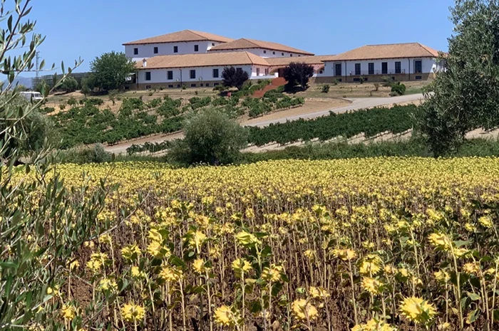 Domaine viticole en Andalousie, Espagne