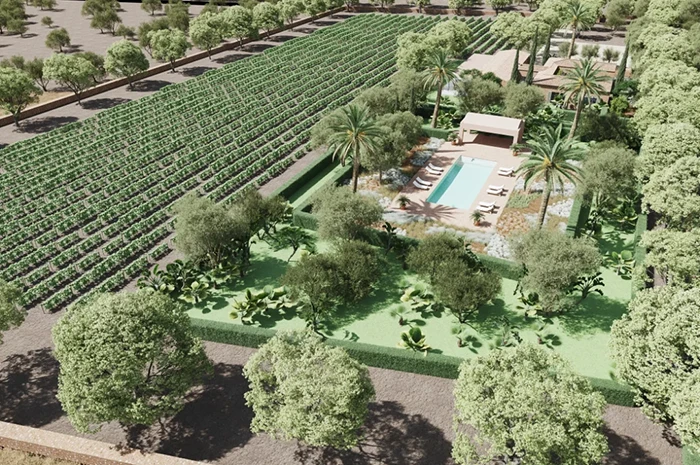 Mallorca Winery Estate