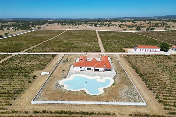 Portugal Country Estate