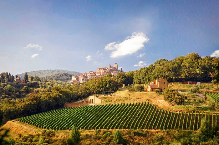 Siena, Tuscany Winery