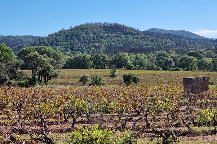 Domaine viticole AOP Côtes de Provence