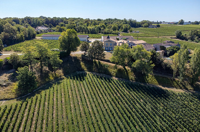 Beautiful Wine Property in Saint Emilion