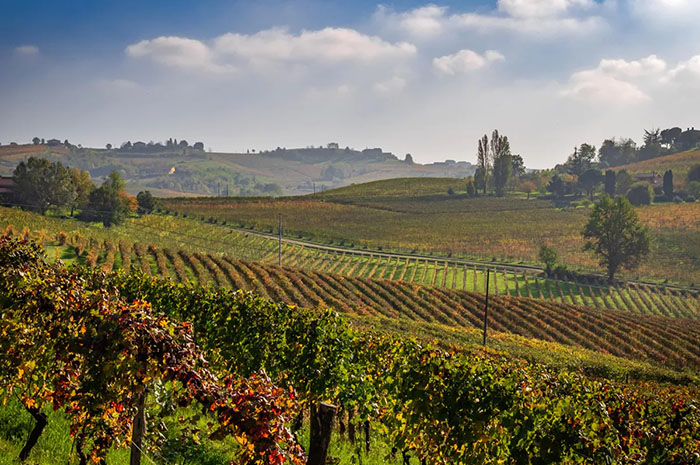 Nizza Monferrato Winery