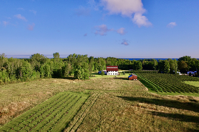 Isle La Motte Vineyard, Vermont