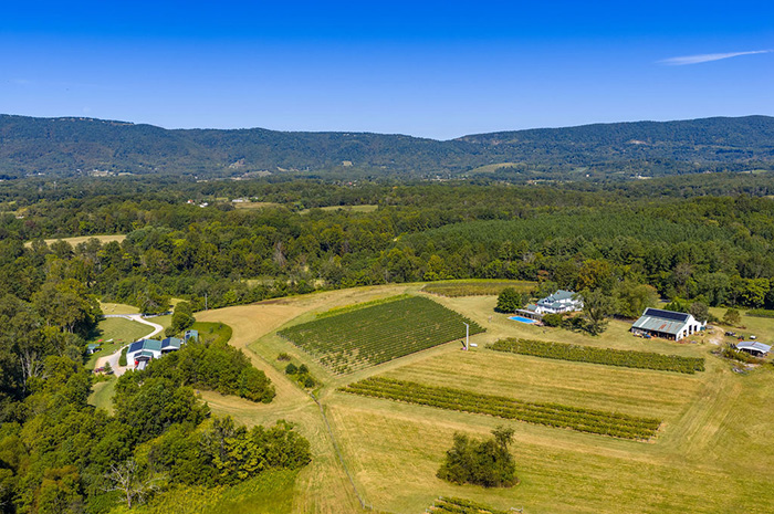 Cardinal Point Winery